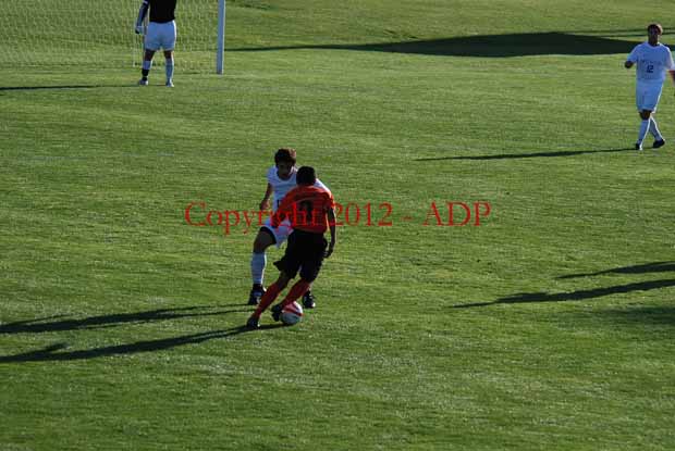 DSC 0201W