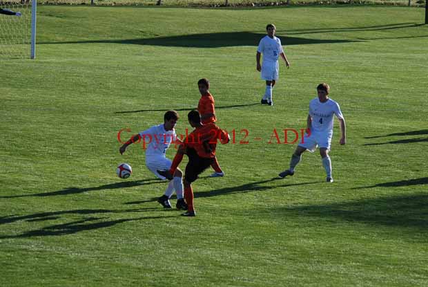 DSC 0203W