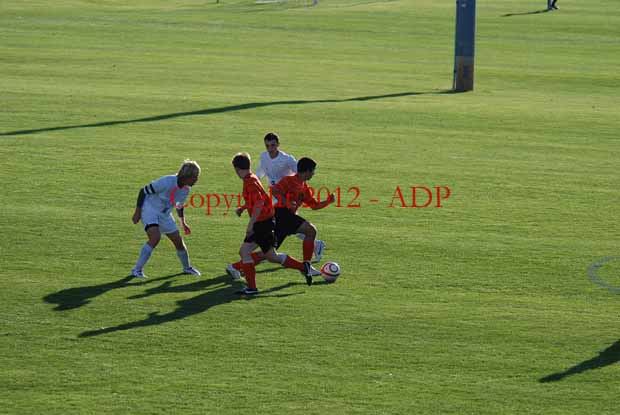 DSC 0241W