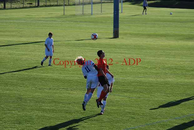 DSC 0361W