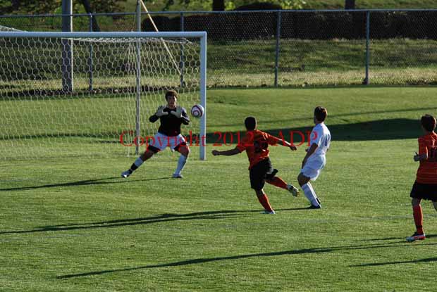 DSC 0381W