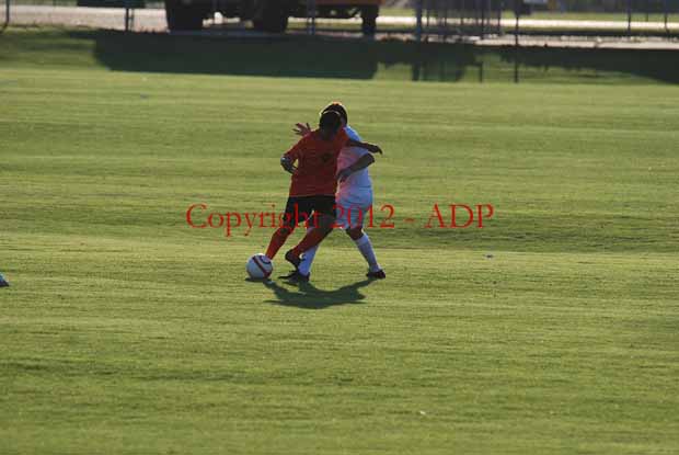 DSC 0497W