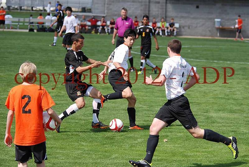 DSC 0614W
