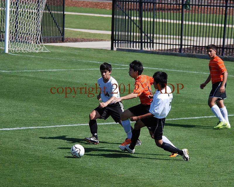 DSC 0155W