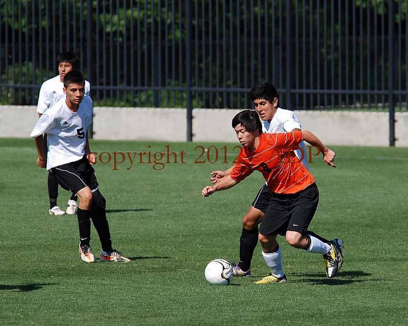DSC 0310W
