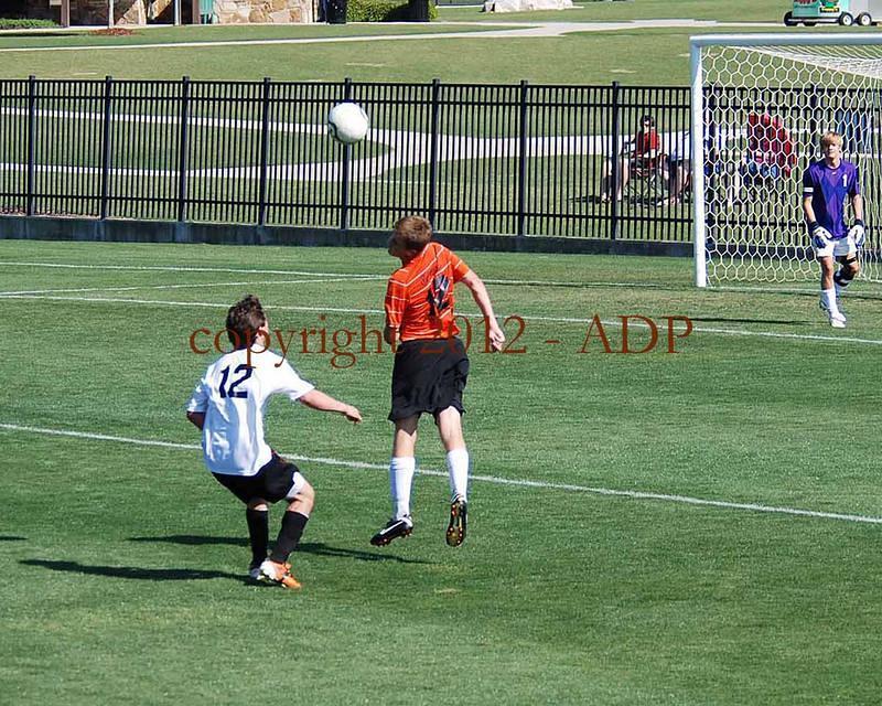 DSC 0331W