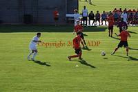 DSC 0131W