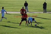 DSC 0391W
