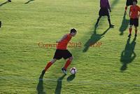 DSC 0439W