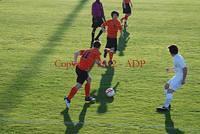 DSC 0441W