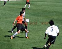 DSC 0272W