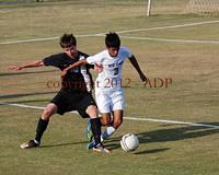 DSC 0081W